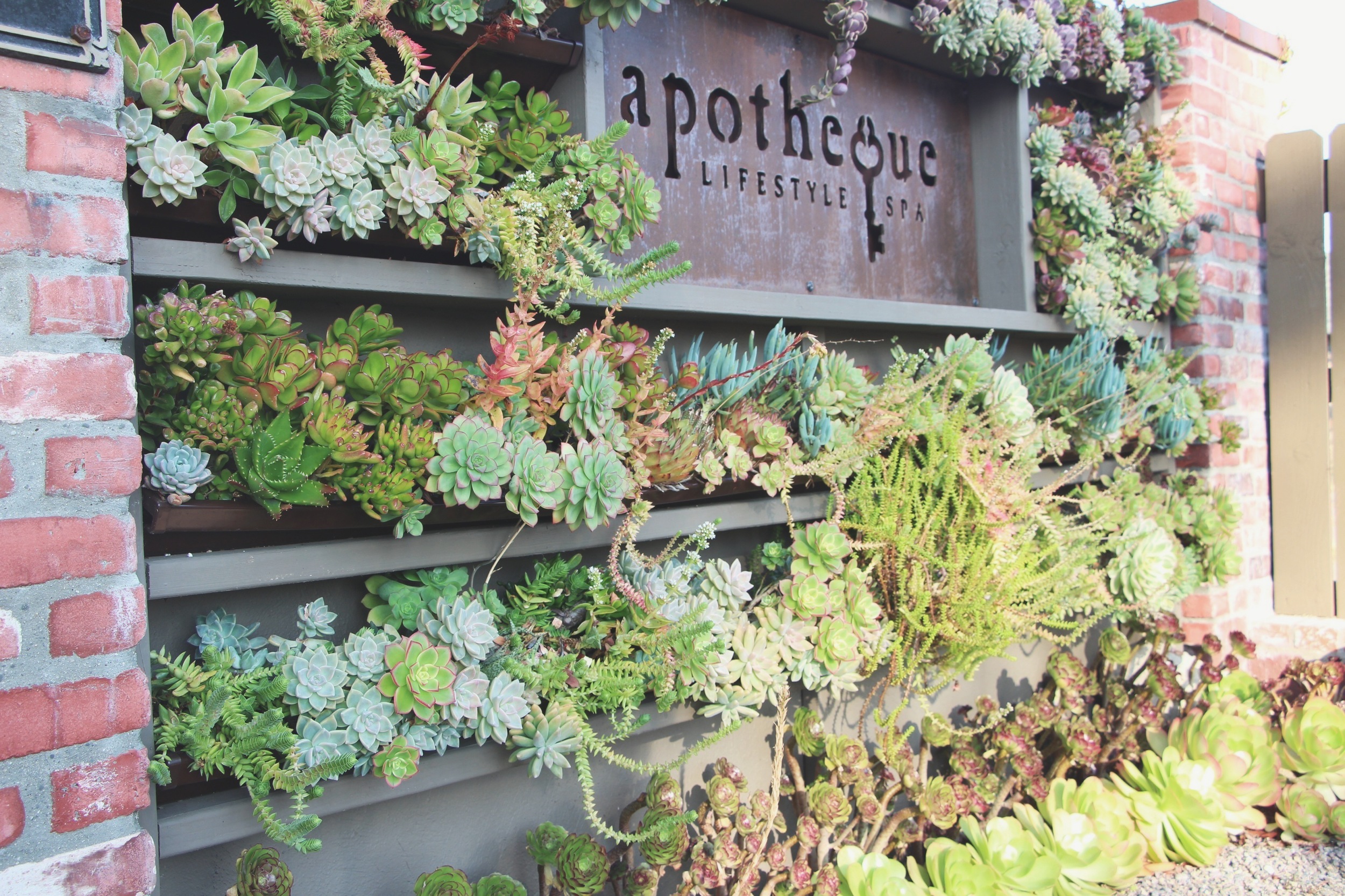 Succulent Cafe Oceanside located adjacent to the Apotheque Lifestyle Spa.